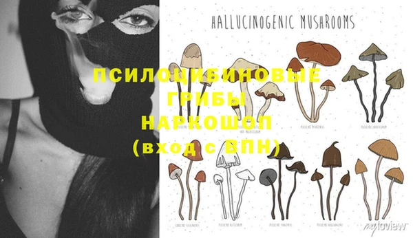 мдма Дегтярск